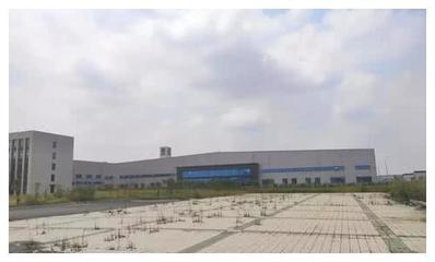 又一家國產車企面臨困境 工廠關停員工離職，控股公司陷入服務危機